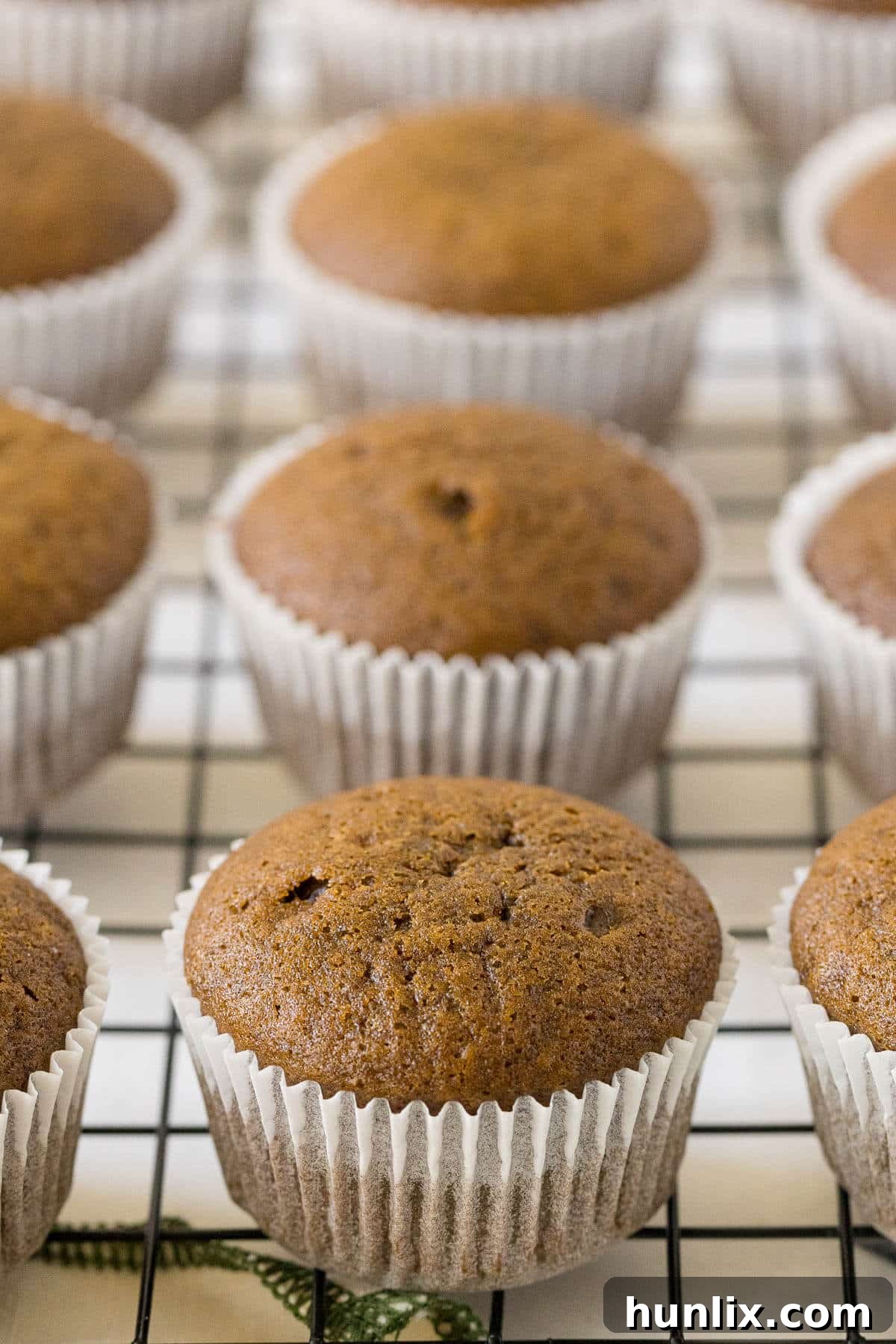 Freshly baked gingerbread muffins cooling on a wire rack.