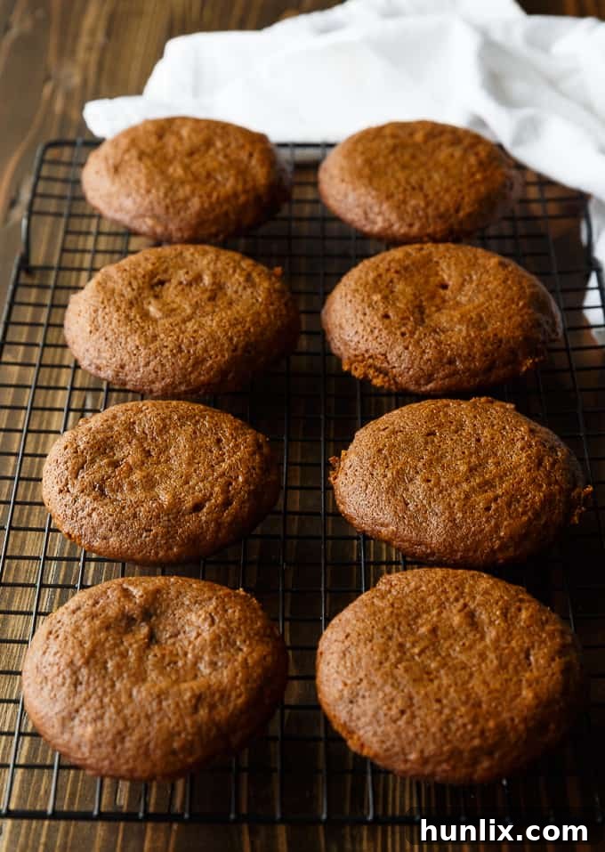 Gingerbread Whoopie Pies - Freshly baked gingerbread cake halves.