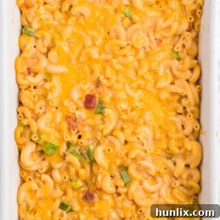 Salsa Macaroni & Cheese - Classic mac and cheese with a Tex Mex twist! Spice levels can be controlled by using medium or hot salsa, which is a great compliment to the cheesy, creamy sauce.