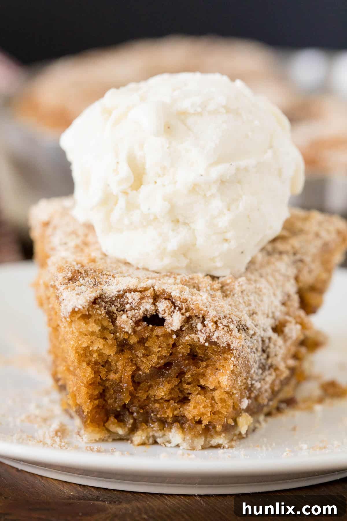 A close-up of a slice of Shoofly Pie on a white plate, with a bite taken from the edge, revealing its moist, crumbly texture.