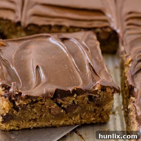 A slice of cake on a spatula in a pan.