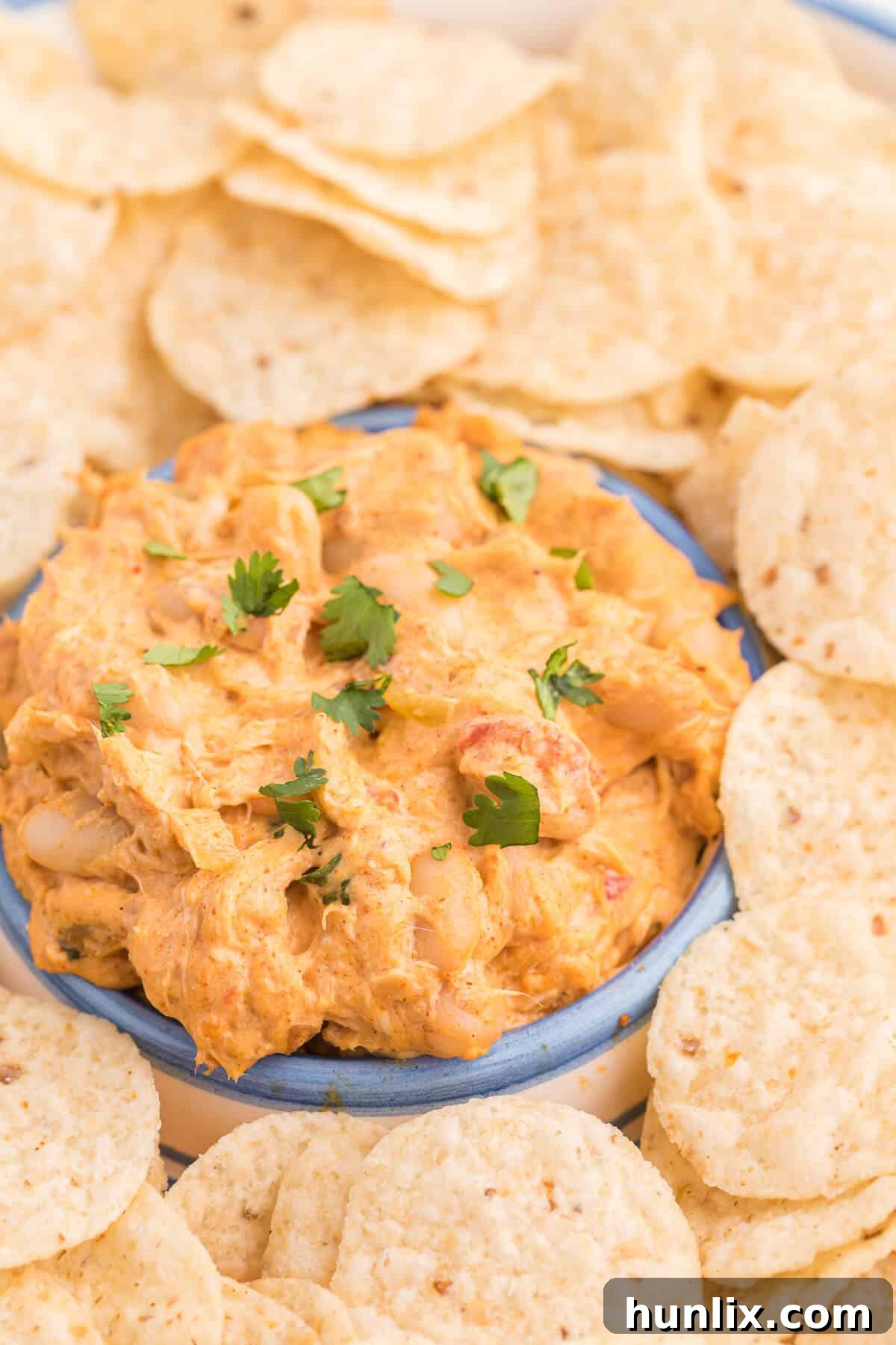 Crockpot White Chili Chicken Dip served in a small bowl, garnished with cilantro.