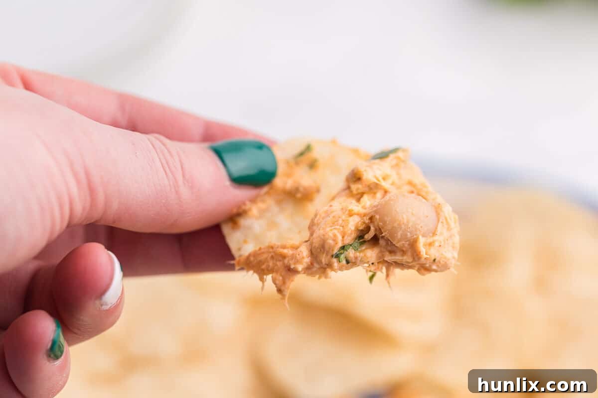 A large serving bowl of Crockpot White Chili Chicken Dip, garnished with cilantro.