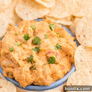 Crockpot White Chili Chicken Dip – a savory, easy-to-make appetizer for any occasion.