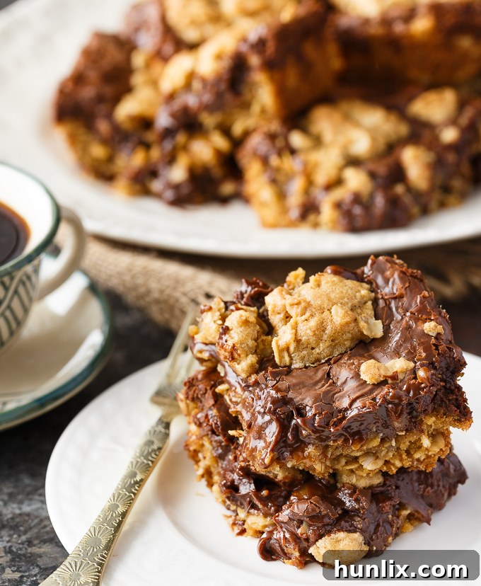 Fudge Nut Bars - Rich and sweet with multiple dimensions of flavour. Creamy fudge is layered between an oat base and topping.