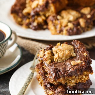 Fudge Nut Bars