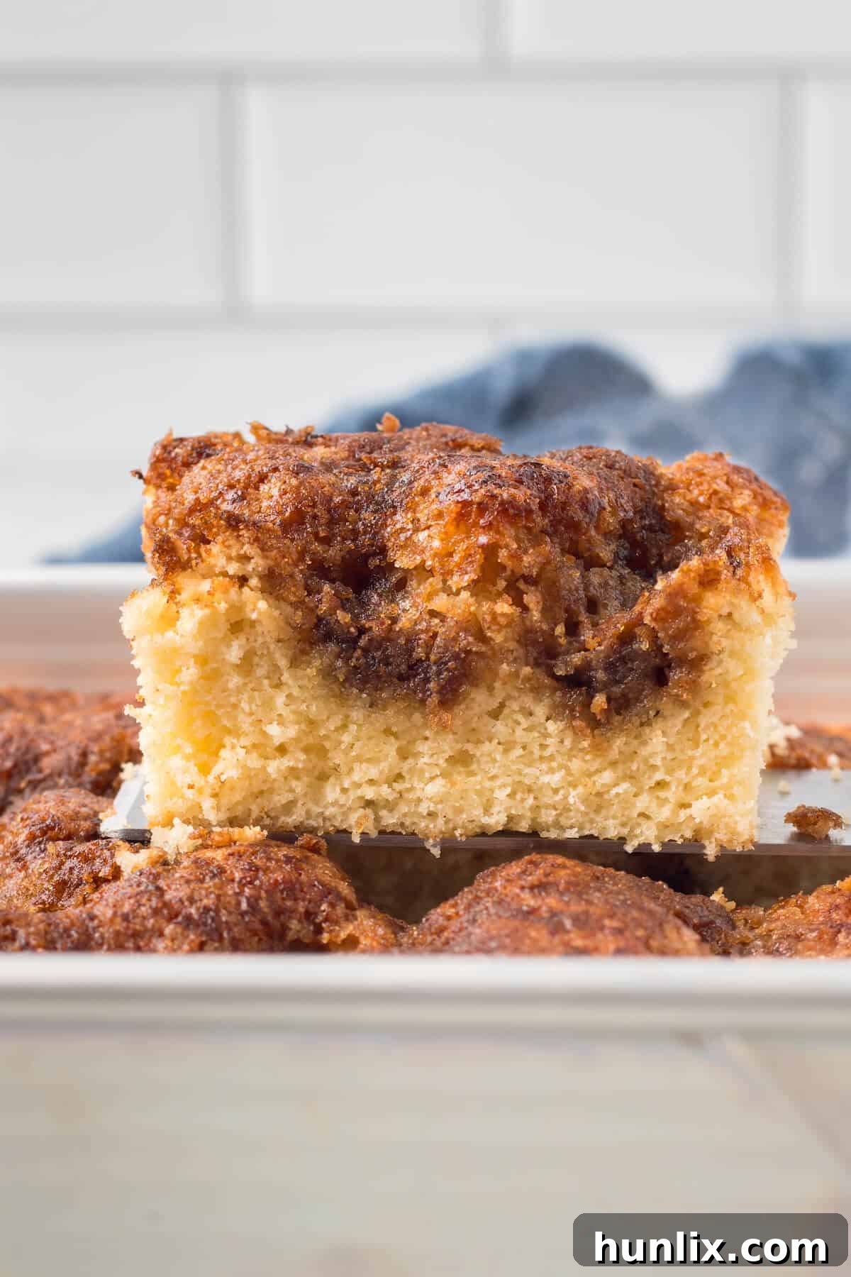 Grandma's Signature Cinnamon Coffee Cake 2 A perfectly sliced piece of Grandma's Cinnamon Coffee Cake, showcasing its moist texture and rich streusel topping, sitting on a pristine cake pan.