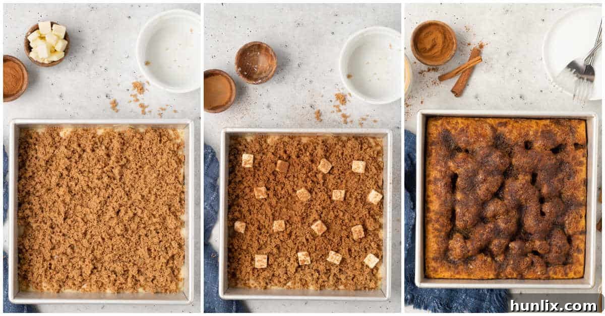 Grandma's Signature Cinnamon Coffee Cake 6 The final step in preparing Grandma's Cinnamon Coffee Cake: the batter is spread in the pan, topped with brown sugar, dotted with butter, and sprinkled with cinnamon, ready for baking.