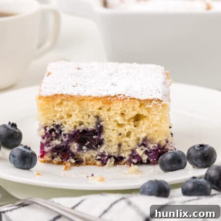 A slice of blueberry tea cake on a plate, highlighting its moist texture.