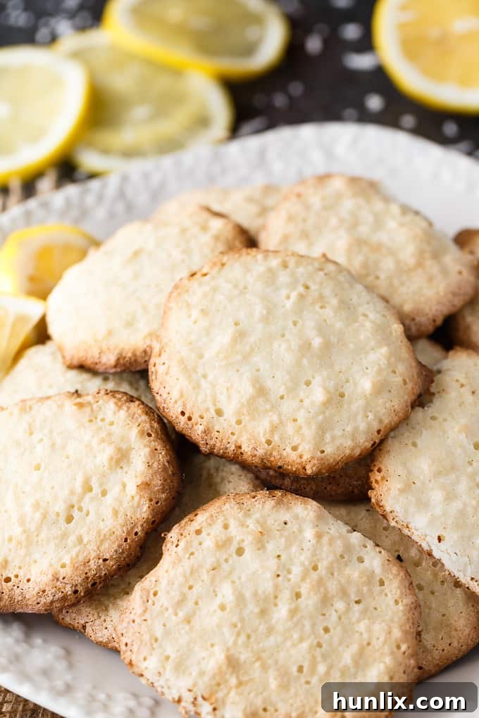Sunshine Lemon Coconut Macaroons 2 Light and crisp Lemon Coconut Macaroon Cookies, soft and chewy on the inside, tasting like heaven.