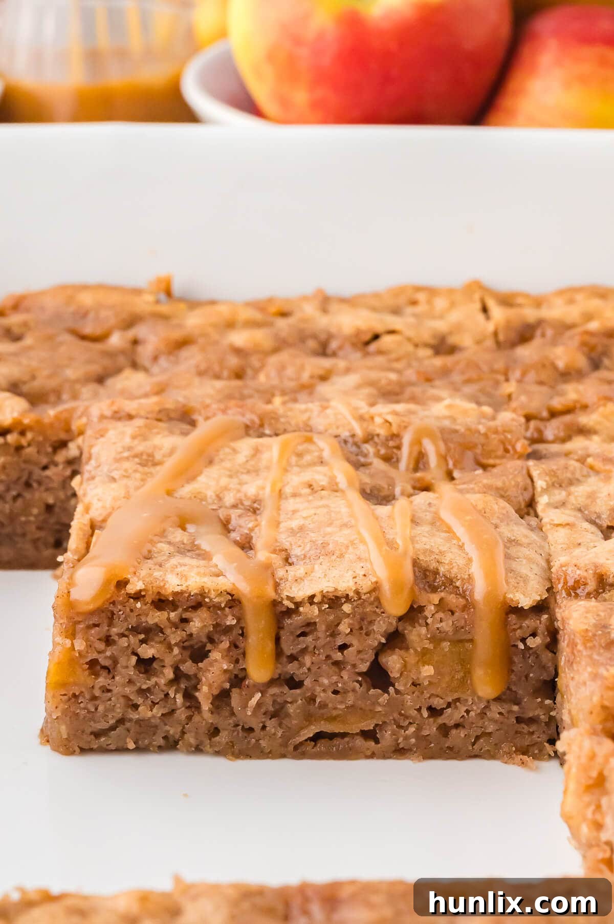 The freshly baked apple cake, still in its 9x13 inch baking pan, with its golden-brown crust and visible apple chunks, awaiting slicing and serving.