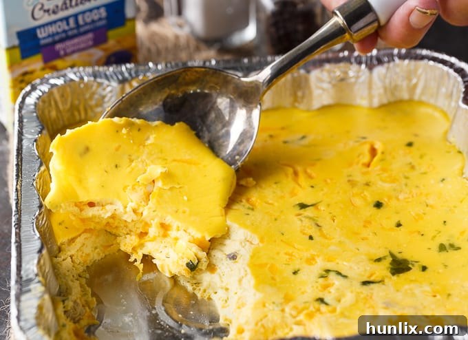 A perfectly portioned serving of golden brown, fluffy, and cheesy BBQ Eggs, scooped onto a camping plate, ready to be enjoyed as a delicious and satisfying outdoor breakfast.