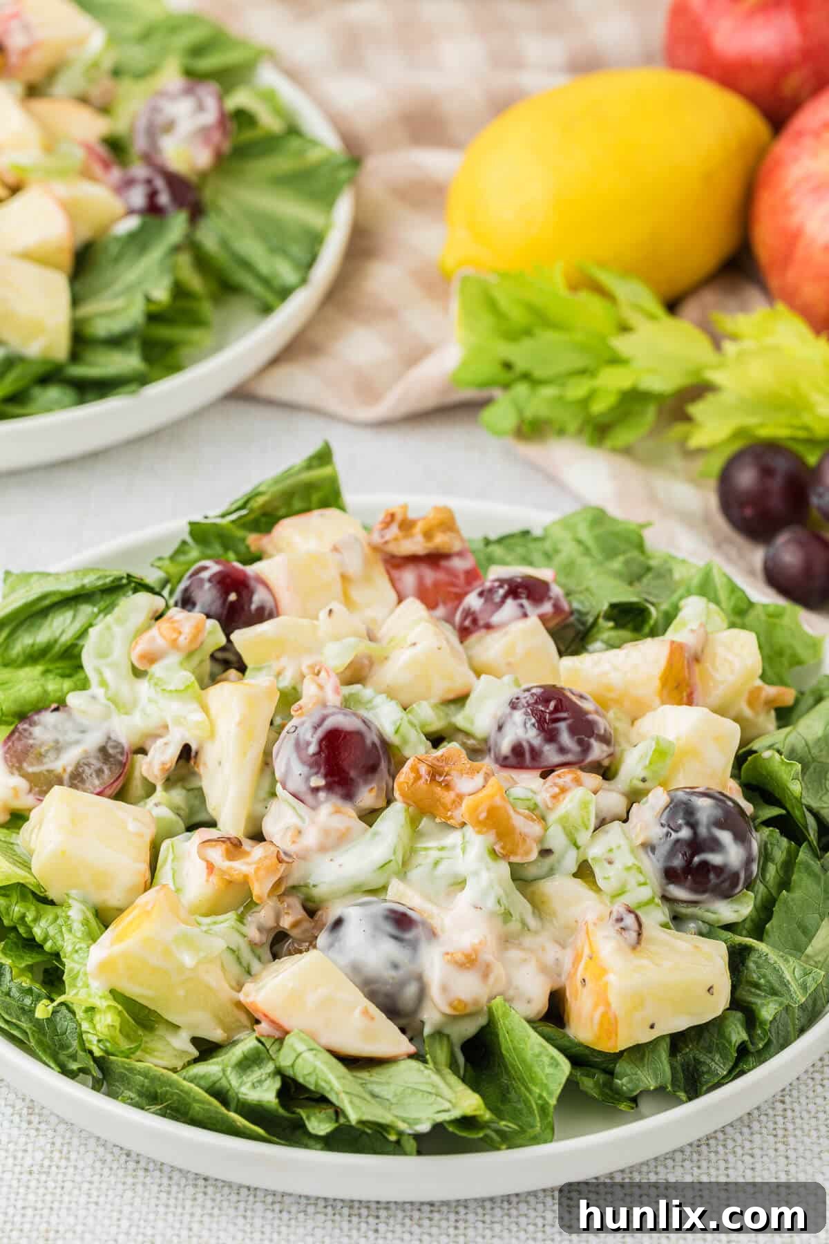 A charming plate of Waldorf Salad, garnished elegantly with a few herbs, served for a delightful and refreshing meal.