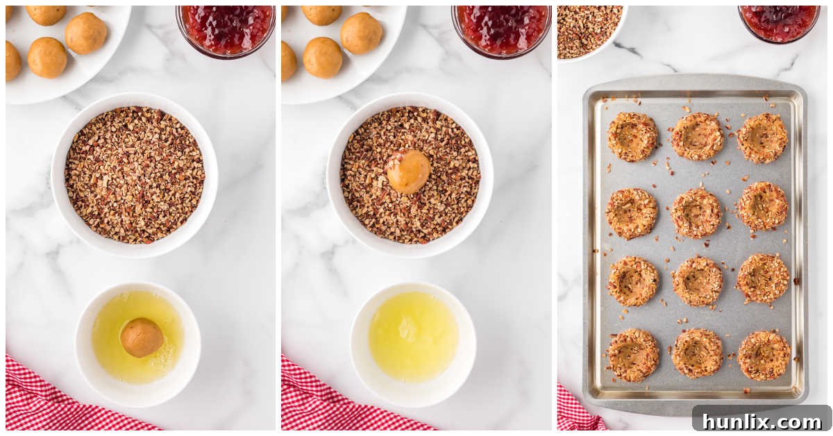Collage of coating the cookie balls and shaping them on a baking sheet.
