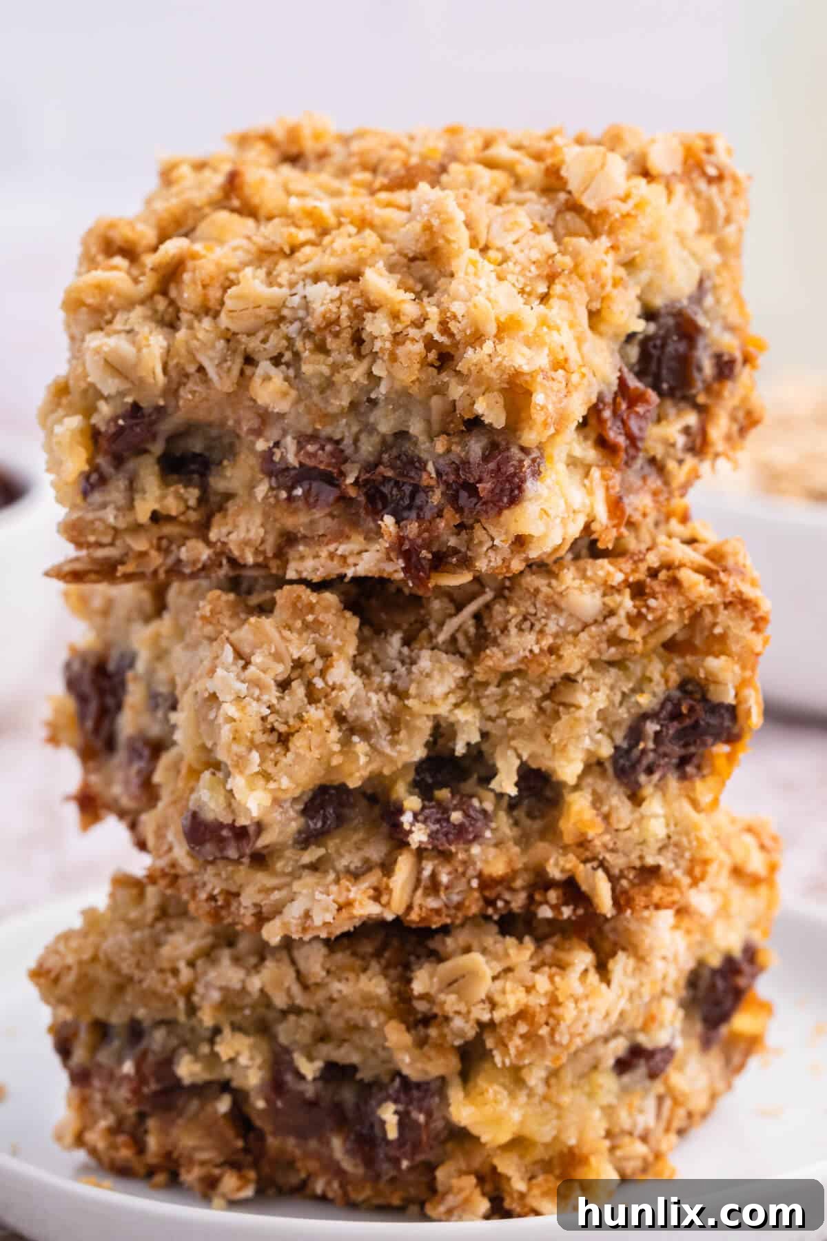Sweet and Tangy Raisin Bars 4 A stack of sour cream raisin bars.