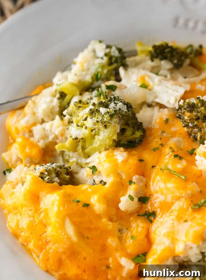 Keto Chicken Divan Bake 4 Ingredients for Low Carb Chicken Divan neatly arranged, including chicken, broccoli, cheddar cheese, cauliflower, butter, onions, and spices.