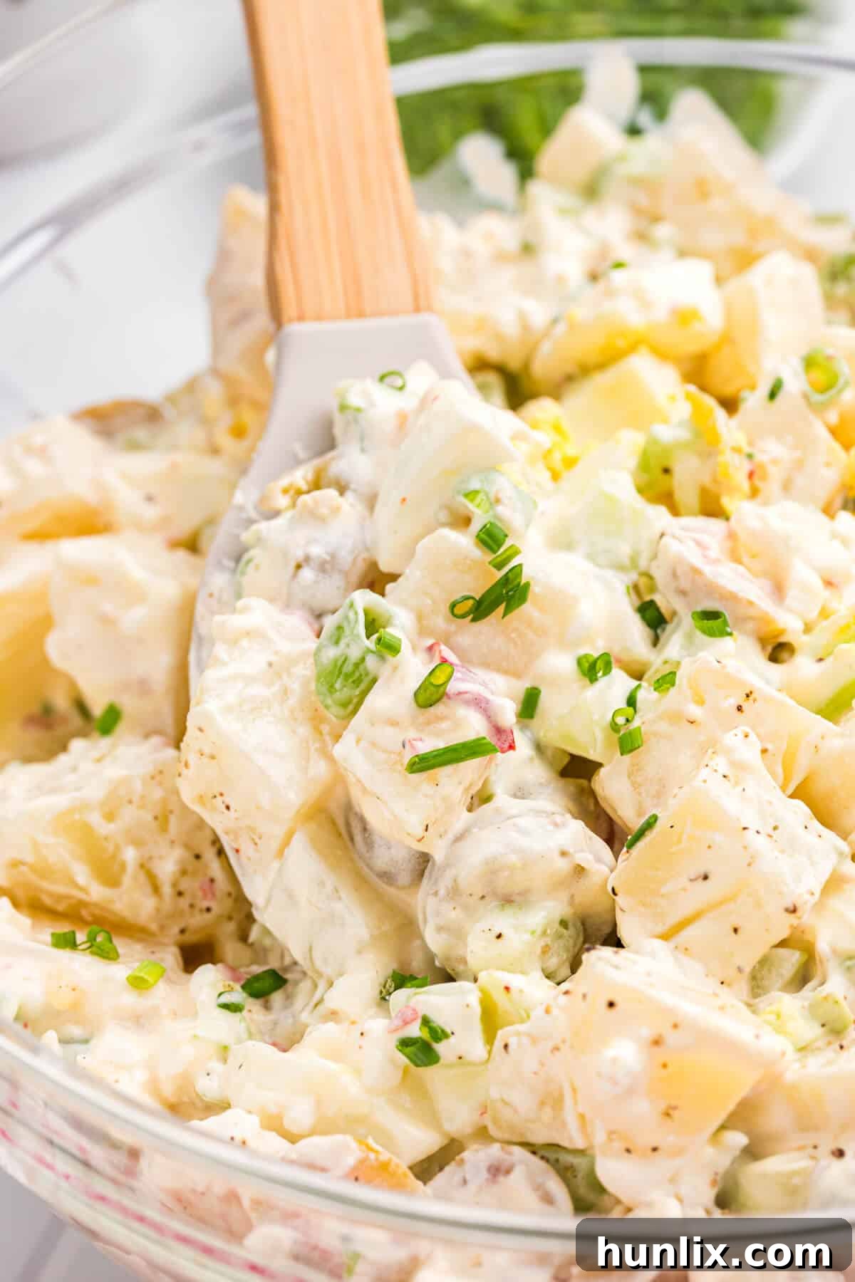 A vibrant bowl of Cheese Potato Salad, garnished with fresh herbs and ready to be served, with a wooden spoon resting inside.