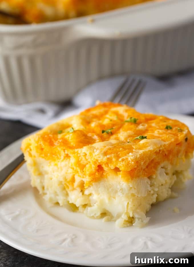 A spread of ingredients for cauliflower bake: fresh cauliflower, chopped onions, shredded cheese, eggs, milk, Bisquick, butter, and seasonings.