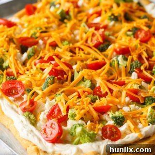 Vegetable Pizza