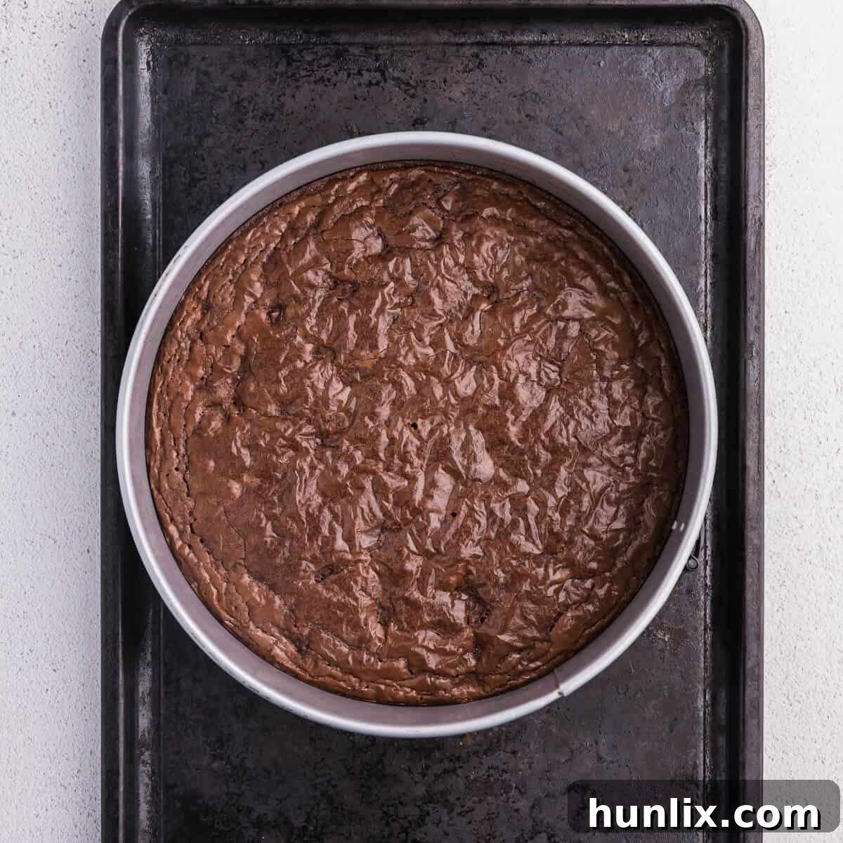 A baked brownie layer, perfectly set in the springform pan, ready for the cheesecake topping.