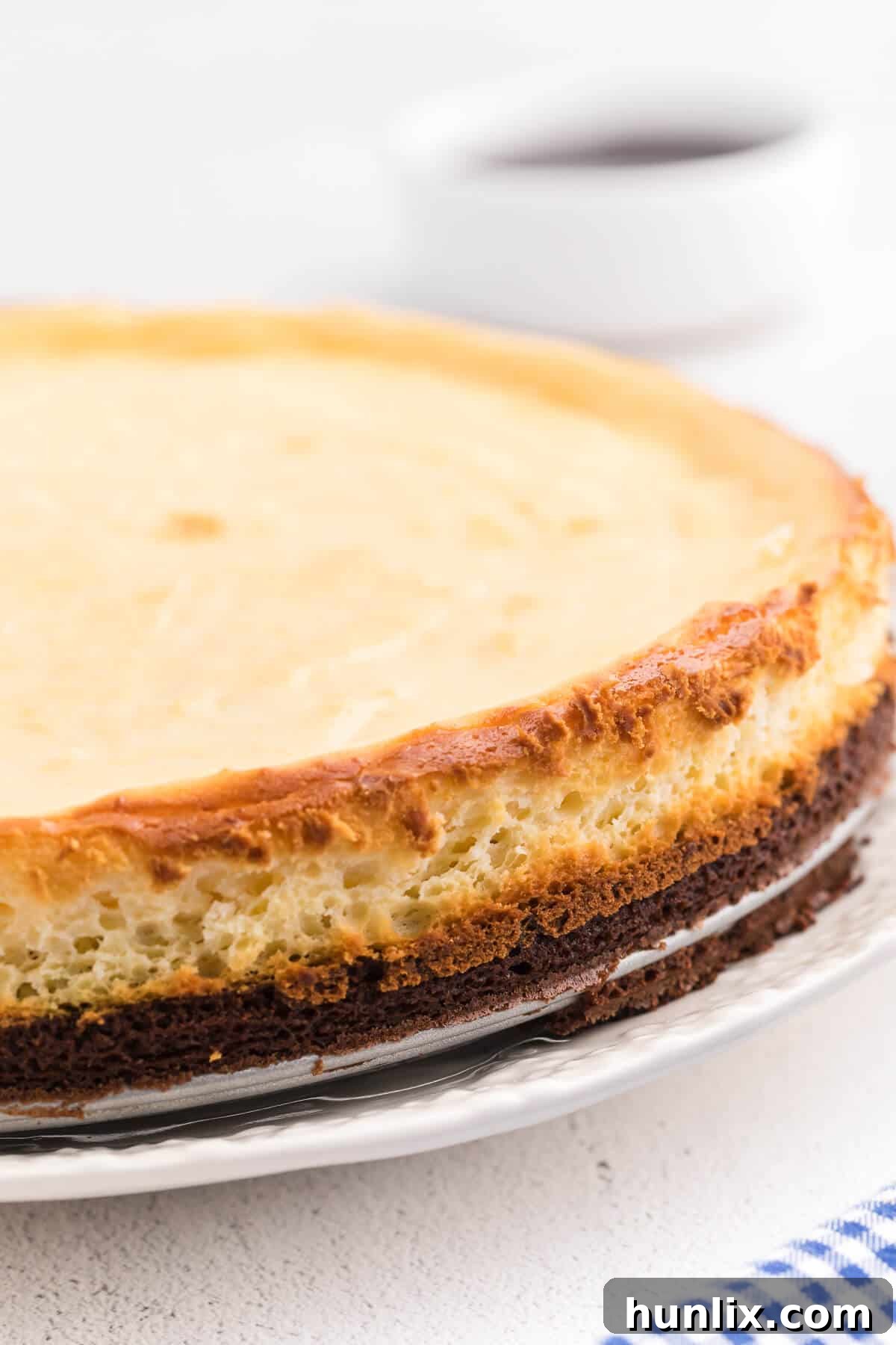 A baked brownie bottom cheesecake, viewed from the side, showcasing its perfectly layered structure.