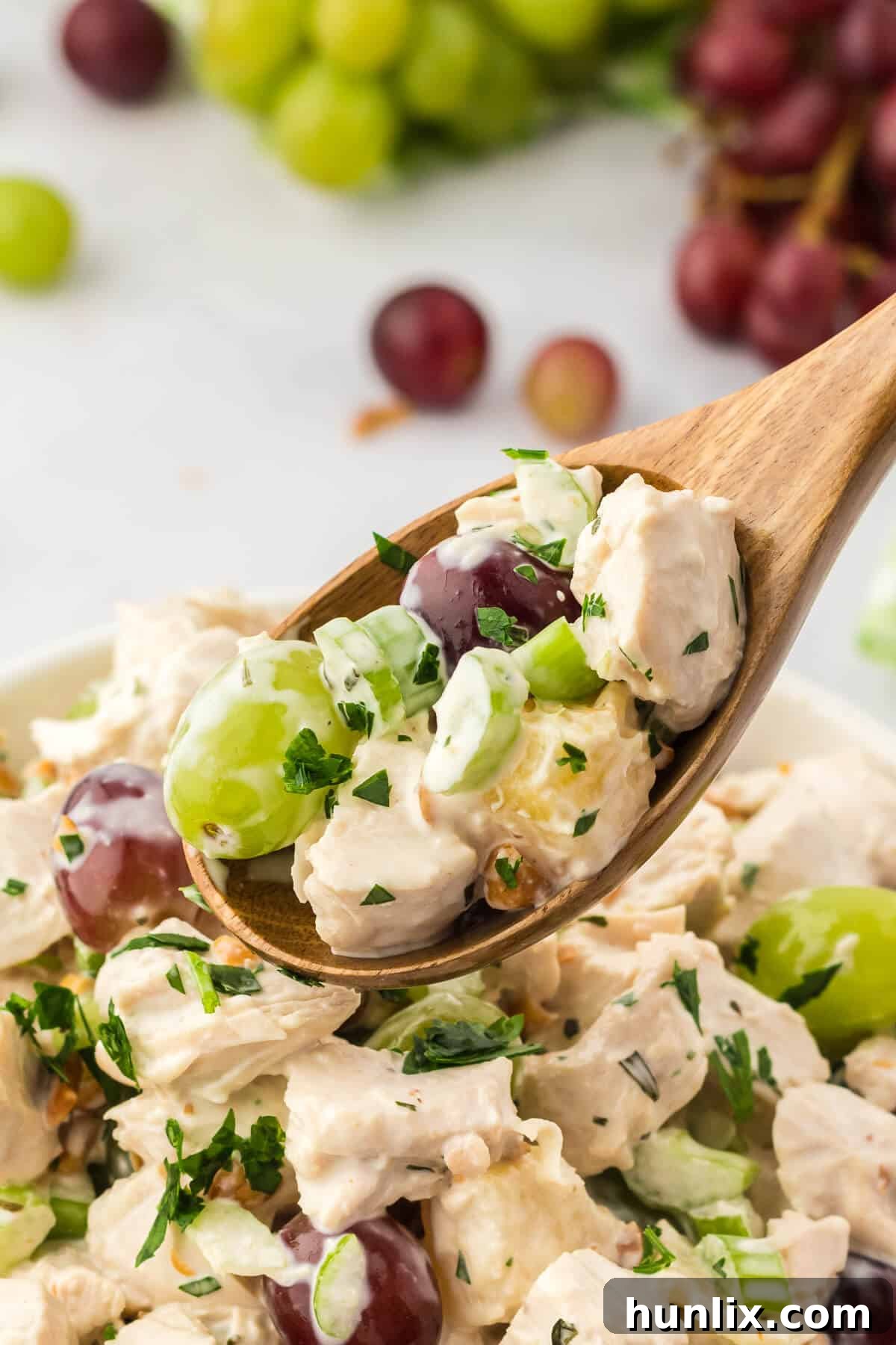 A wooden spoon holding a scoop of chicken salad with grapes, showcasing its creamy texture and colorful ingredients.