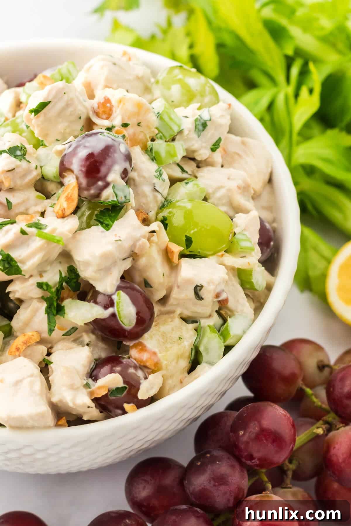 A large bowl of chicken salad with grapes, showing a close-up of the delicious ingredients blended together.