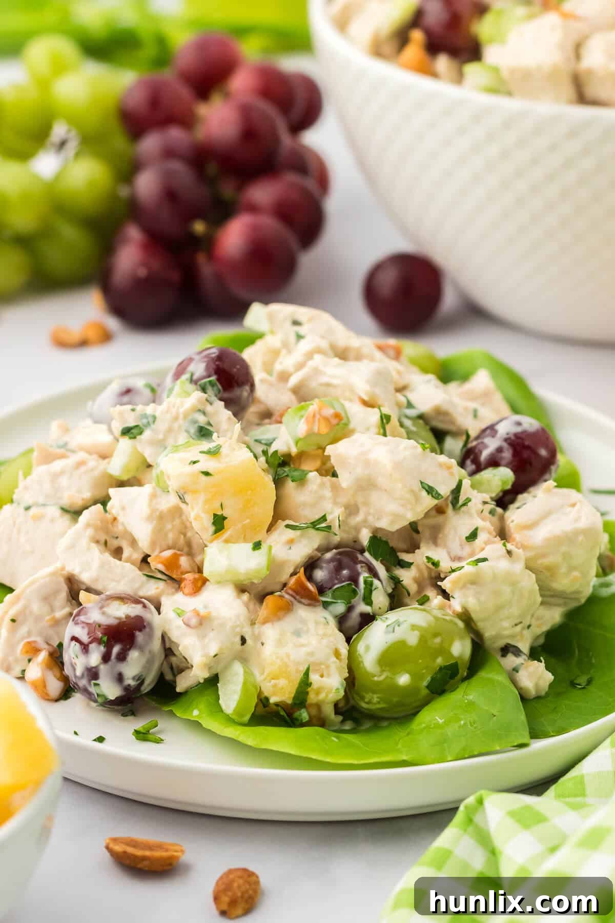 A scoop of chicken salad with grapes placed delicately on a fresh bed of lettuce, ready for a light meal.