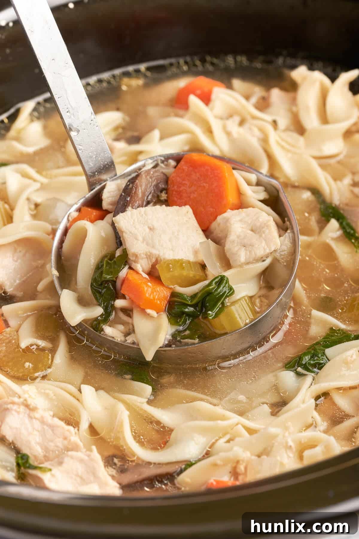 Rosemary Chicken Noodle Soup in a ladle in a Crockpot.