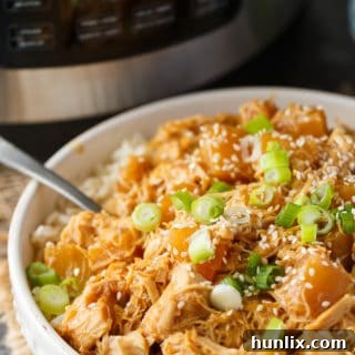 Pineapple Teriyaki Chicken