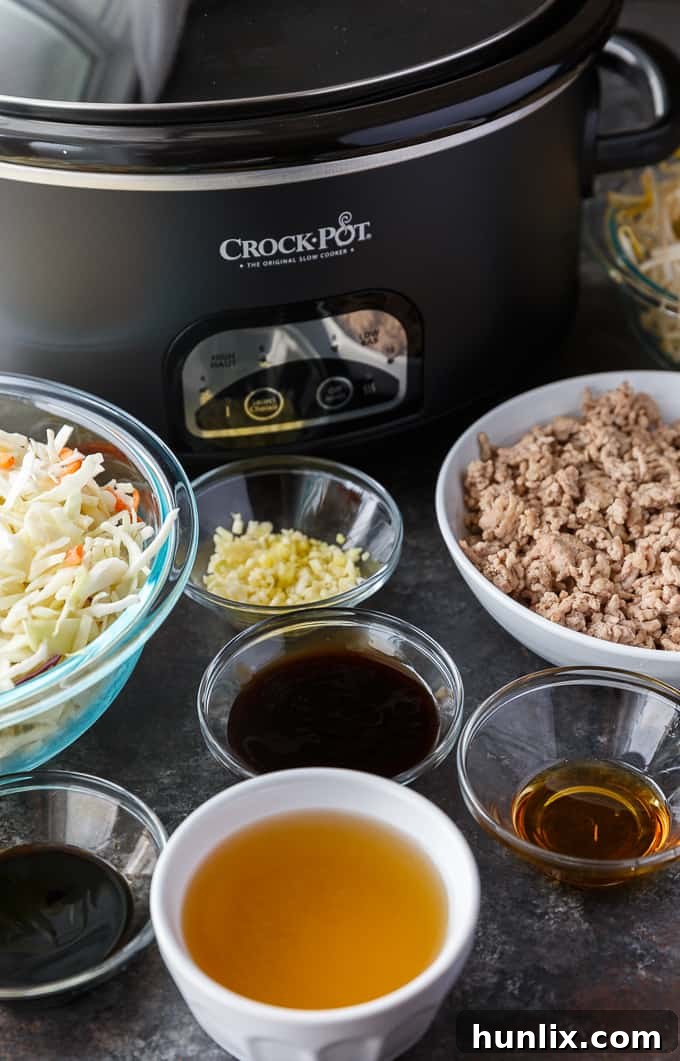 A top-down view of the Egg Roll in a Bowl mixture in a Crock-Pot, highlighting the colorful ingredients like pork, cabbage, and carrots, ready for slow cooking.