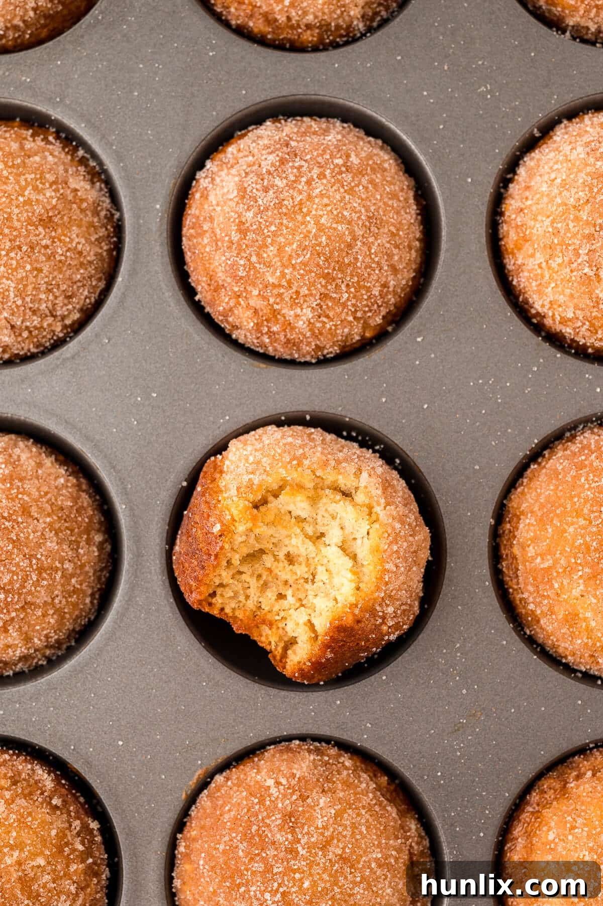 Sweetly Spiced Morning Muffins 2 Freshly baked Sugar and Spice Muffins cooling in a muffin pan.