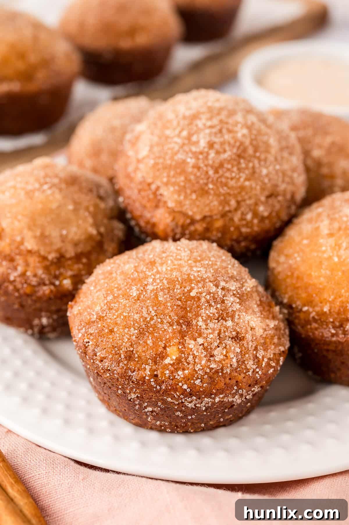Sweetly Spiced Morning Muffins 9 A plate of freshly baked sugar and spice muffins, dusted with cinnamon sugar.