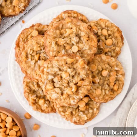 A plate of perfectly baked coconut butterscotch cookies, ready to be served.