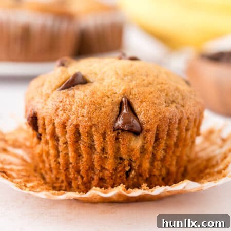 A beautifully presented banana chocolate chip muffin with its wrapper partially removed, ready to be enjoyed.