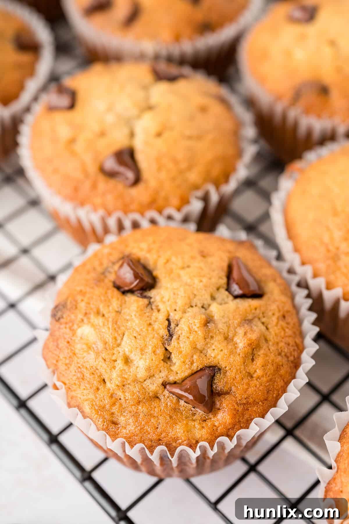 Decadent Banana Chocolate Chip Muffins 8 A single, perfectly baked banana chocolate chip muffin cooling on a wire rack, showcasing its inviting golden-brown crust.