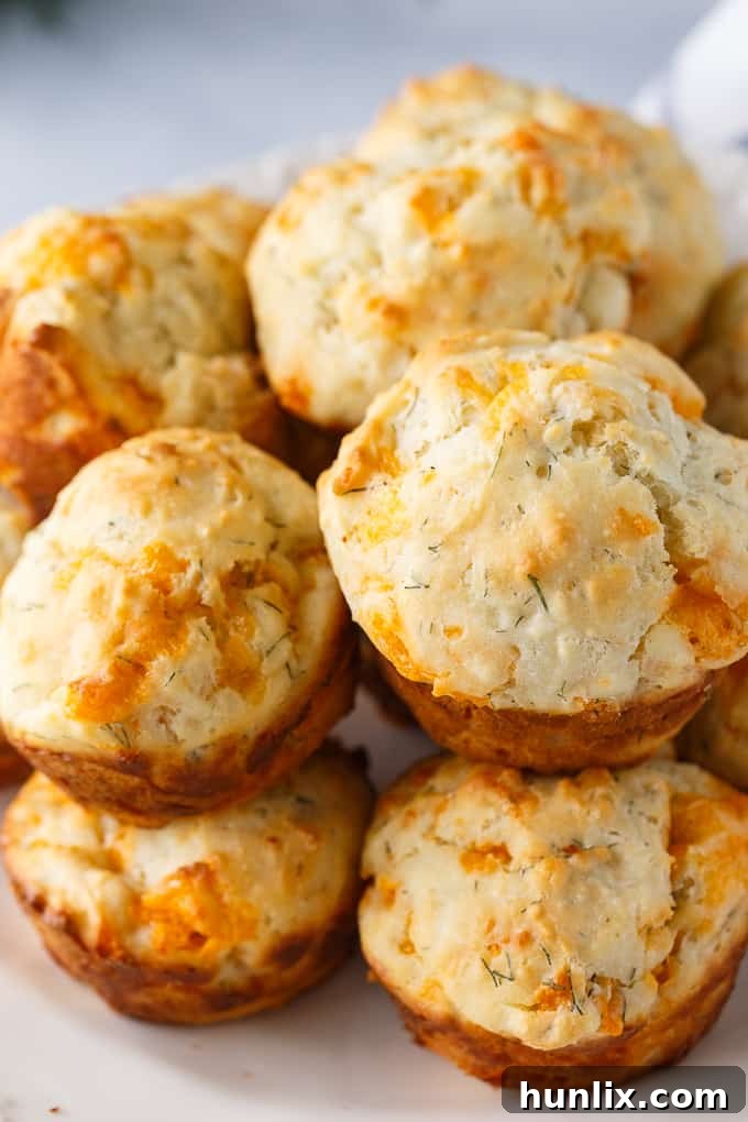 Cheddar Dill Muffins - A delicious savory muffin perfect for breakfast or a quick snack. They are dense and moist with the perfect hint of dill.