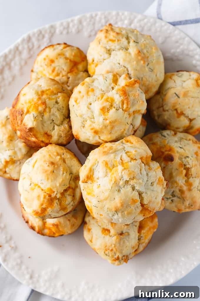 Cheddar Dill Muffins - A delicious savory muffin perfect for breakfast or a quick snack. They are dense and moist with the perfect hint of dill.