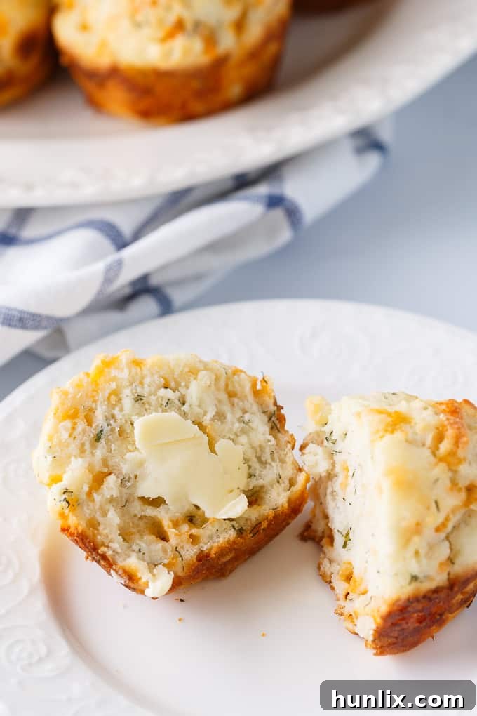 Cheddar Dill Muffins - A delicious savory muffin perfect for breakfast or a quick snack. They are dense and moist with the perfect hint of dill.