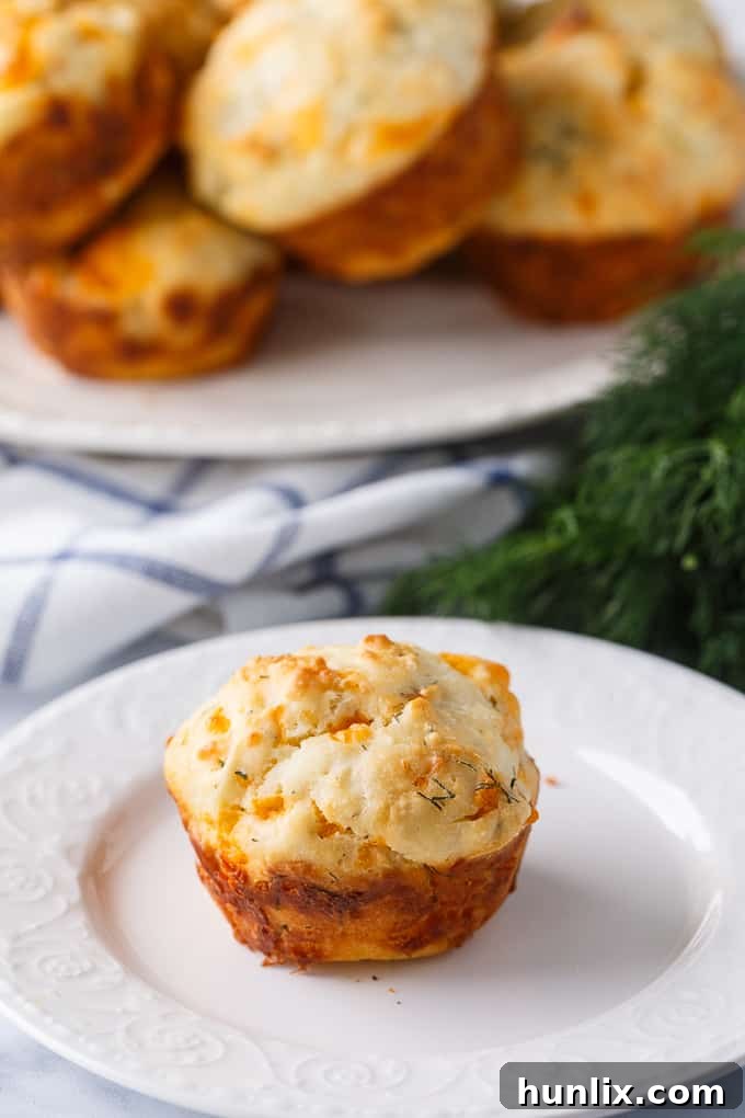 Cheddar Dill Muffins - A delicious savory muffin perfect for breakfast or a quick snack. They are dense and moist with the perfect hint of dill.