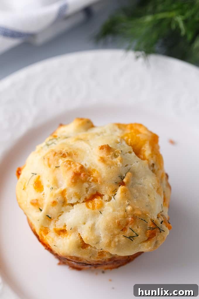 Cheddar Dill Muffins - A delicious savory muffin perfect for breakfast or a quick snack. They are dense and moist with the perfect hint of dill.