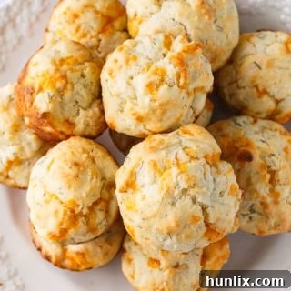 Cheddar Dill Muffins
