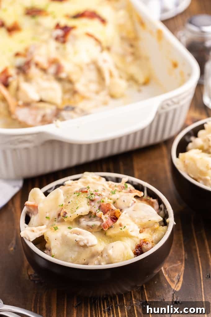 Creamy Chicken Pierogi Bake 7 A generously portioned Chicken Alfredo Pierogi Casserole, straight from the oven, with bubbly cheese and savory toppings, ready to serve.