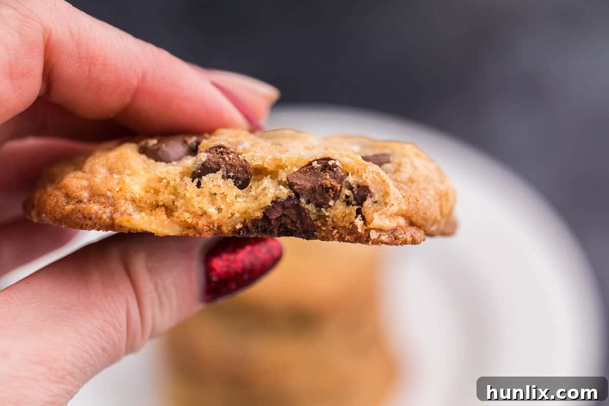 Salty Sweet Crunch Cookies 9 A plate of freshly baked potato chip cookies ready to be served, showcasing their golden brown color and unique additions.