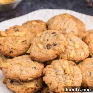 Salty Sweet Crunch Cookies 10 Potato Chip Cookies