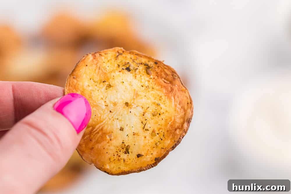 A hand holding a crispy air fryer potato chip, ready to be eaten.