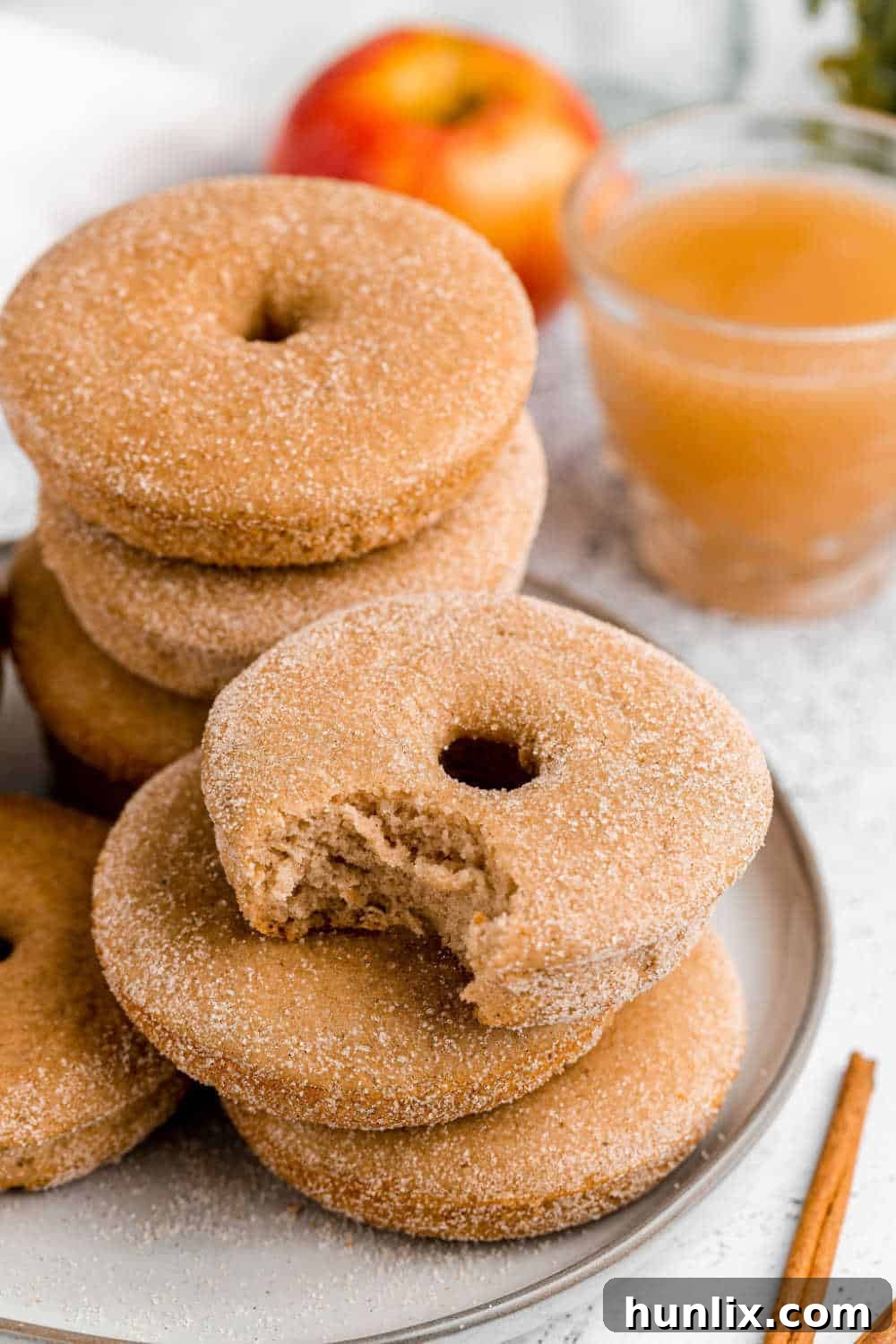 Baked apple cider donuts arranged beautifully on a rustic plate, with one donut having a delicious bite taken out of it, showcasing its tender interior and cinnamon sugar coating.