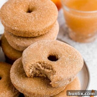 A vibrant baked apple cider donut with a bite taken, showcasing its soft interior and perfectly golden-brown, cinnamon-sugar exterior.
