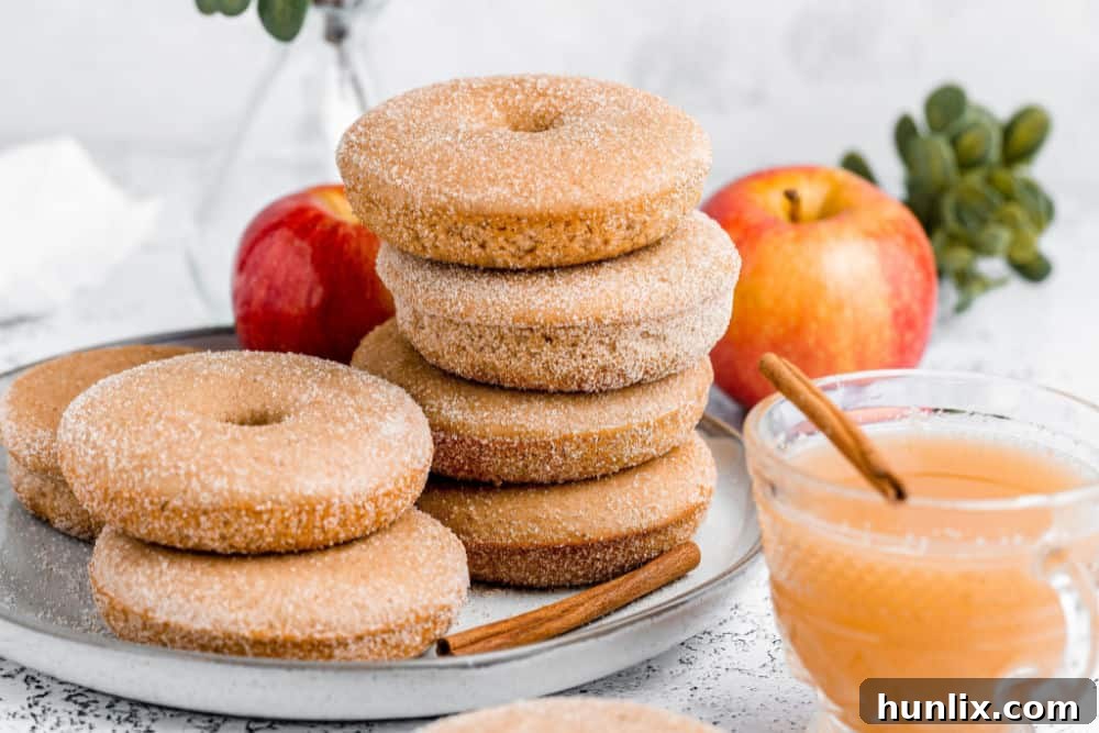 A stack of golden-brown baked apple cider donuts perfectly coated in cinnamon sugar, sitting on a rustic white plate, ready to be enjoyed.