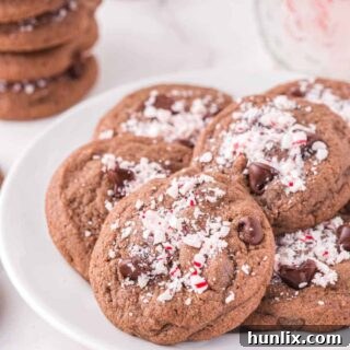 chocolate peppermint cookies